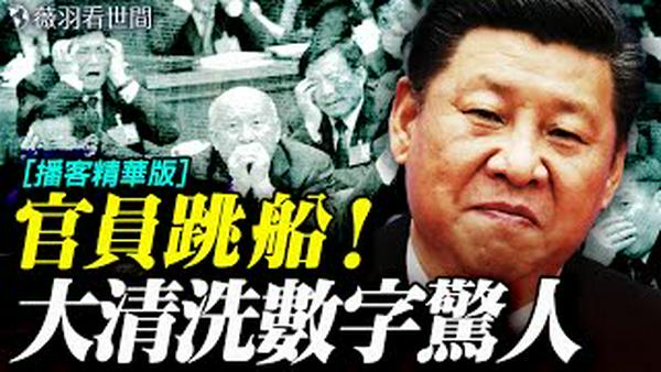 大批裸官恐惧外逃！中组部数据惊人：10年清洗1000万官员，习近平党内树敌无数，官员纷纷跳船！｜薇羽看世间 20250131