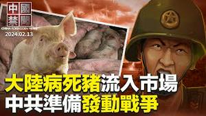 中国病死猪肉流入市场；中共准备发动战争，扩大农村征兵；山东凶案后，传日照政法委紧急排查16类人员；中国养老基金九成亏；美议员吁白宫制裁药明康德及子公司；中芯国际欲量产5奈米芯片？【 #中国禁闻 】