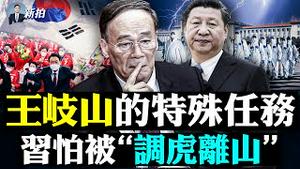 王岐山访韩洩底！信息量很大，包括跟习真实关系，20大后留任？习不出国，一怕被“调虎离山”，二怕啥；杭州“土地庙“采样应普及全国；习坚持清零、强压异议，体制内也不解；“大白”招鬼？｜新闻拍案惊奇 大宇