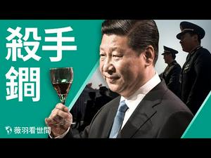 （218期修改后重新上传）他们在担心什么？救人良药还是控制人的手段？| 薇羽看世间 第218期 20201222