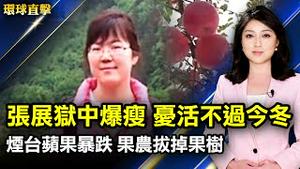 张展狱中爆瘦，家人忧活不过今冬；烟台苹果暴， 果农不堪亏损拔掉果树；杨金龙：台湾经济稳健通膨温和；维州州长选举，共和党扬金人气旺。【 #环球直击 】｜ #新唐人电视台