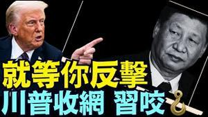 关税战第七天：属蛇习近平反击 ⋯ 被川普出手断掉七寸！《今日点击》（04 09 25）#川普 #特朗普