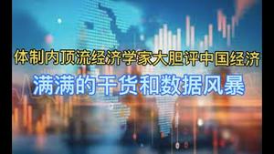 体制内顶流经济学家大胆评中国经济！满满干货和数据风暴！