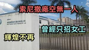 索尼新机发布别有用心，遭千万网友出征|惠州索尼撤厂后还剩那些大厂|索尼手机退出市场|惠州工厂#珠三角制造业#sony#TCL#失业#找工作#CC