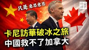 中国电动车来了！加拿大总理卡尼访华，华人回国免签，降低农产品关税，中加关系缓和只是意思意思？台湾与美国签署贸易协议，才是加拿大的榜样！