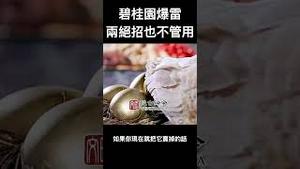 碧桂园终于也债务违约，脱困的两项大招为何都不可行