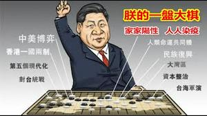 疫情是解封还是流行？为何全国处处阳性？布洛芬卖到一万一瓶,老百姓还有多少油水能榨干？《建民论推墙1860》