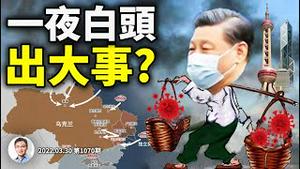 习近平「一夜白头」，两个重要决定似已做出！封城每月损失GDP的3·1%！不换肩就躺平（文昭谈古论今20220330第1070期）