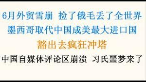 6月外贸全面雪崩，捡了俄毛丢了全世界！脱钩加速，墨西哥取代中国成美最大进口国！豁出去疯狂冲塔，中国自媒体评论区崩溃，更大风暴正酝酿，习氏噩梦来了？(20230715第1075期)