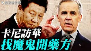 中国电动车即将铺满加拿大街头？卡尼访华，习近平偷笑，川普怒目；两大国间走钢丝，加中关系重启？美加关系破裂？｜薇羽看世间 20260115