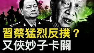 蔡奇推整风清党？习近平反扑？张又侠重大布局，武警部队将握手中？重磅法案遭毙，网民国骂习近平；天价别墅狂降8成，「中国恶梦」生不如狗【新闻看点 李沐阳3.13】#中共两会 #民营企业