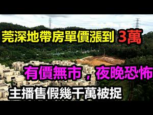 东莞深圳边界的房子涨到3万依然有价无市|沃尔玛空荡荡，员工也消失|零售业寒冬|百万网红主播售假货几千万被捉|#东莞房子#深圳房子#沃尔玛#CC subtitles added
