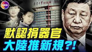 慎入！大陆青年脑S亡陡增！男生意外离世，零件一天救6人；中共推新规：自动默认捐器官？！#真飞 #真观点