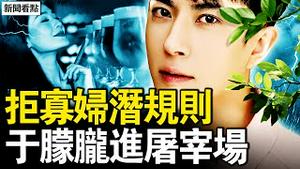 潜规则遭拒生恨，资本寡妇是祸根？导演涉极端侮辱行为 阳光上东明星成群；霸气讨要真相，女市民连珠开火【新闻看点 李沐阳11.10】