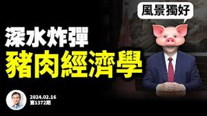 中国经济的深水炸弹：猪肉经济学！懂了猪肉爆雷，就懂了当下的中国（文昭谈古论今20240216第1372期）