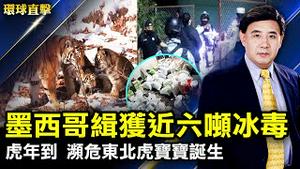 北京冬奥在即 美议员沃尔兹谈中共人权恶行；两年来最大毒品案 墨西哥缉获5.8吨冰毒；风暴马利克袭击北欧 数人死亡 部分交通中断；濒危物种「东北虎」宝宝与大众见面【 #环球直击 】| #新唐人电视台