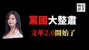 【公子时评】文艺界的严打来了！赵薇等多名娱乐圈“劣迹艺人”遭批斗和封杀！网信办全面整肃自媒体，财经话题终失守！文革2.0来袭，胡锡进都害怕了，全中国谁也无法幸免！