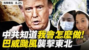 💥22年最大洪水袭潼关， 巴威台风直奔东北；「又碎纸」旧金山领馆心虚？赵立坚终于放软！中共武力攻台？川普呛：中共知道我会怎么做！陈彦霖案「陈母」启人疑窦【大纪元 新闻看点 08.25】最新 中国新闻