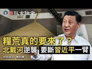 习近平「反浪费」预示粮荒？美国大棒让国有银行也跪了、黎智英保释；反习逆袭，栗战书财产被曝（文昭谈古论今20200812第801期）