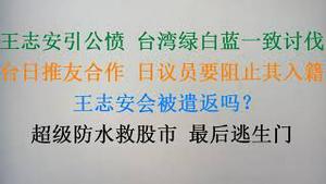 王志安引台湾公愤，台日推友合作，日议员要阻止其入籍！ 王志安会被遣返吗？赞助商纷纷退出，《夜夜秀》要关门！超级放水救股市，最后逃生门！(20240124第1140期)