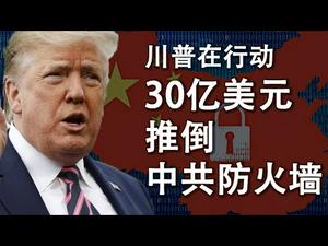 川普在行动;30亿美元推倒中共防火墙;脸书的“最高法院”与油管的公然左转(政论天下第164集 20200512)天亮时分