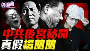 中共五大后宫单位曝光，高层情妇都去了哪？杨兰兰替身疑云，震动悉尼法院！中南海最不能说的祕密：女人与权力！从炫富到隐富：中国富豪的蜕变！『新闻最嘲点 姜光宇』2026.0221