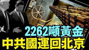 中南海要清空$7602亿美债 ⋯ 摧毁美元：发动金融核战争（04 11 25）#川普 #特朗普 #trump #马斯克 #elonmusk #互惠关税 #tarif  #china #chinese