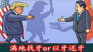 贸易战为何要降温？世界第一的哈佛大学为什么被川普狠狠修理？《建民论推墙2664》