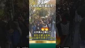 快把老习带走！人民到景山公园痛哭！习近平=崇祯皇帝？越是勤政越亡国！