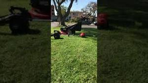 自己修剪草坪，每三周一次。