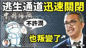 中国频传海关剪护照，逃离通道正迅速关闭！谭德赛公开反清零！北京开撕世卫（文昭谈古论今20220511第1088期）
