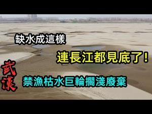2021年长江武汉段140公里断流见底，对农业有影响吗|长江变成大沙滩，汽车可以自由行使|#环境#三峡大坝#枯水期#武汉长江