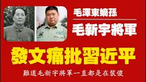 毛泽东嫡孙，毛新宇将军，发文痛批习近平。难道毛新宇将军一直都是在装傻？2026.02.27NO3338#毛新宇#习近平