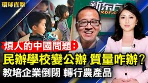 民办学校变公办？陕西民众：质量会下降；中共双减，教培企业「新东方」转行卖农产品；神韵连五场爆满，丹佛观众感佩讚歎；台湾崙内产业会，花生糖飘香，吸引游客【#环球直击】| #新唐人电视台