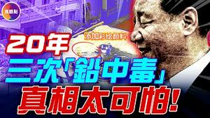 天水「铅中毒」藏黑幕! 颜料不可能导致高浓度铅残留, 官方解释违背常识! 同一地区20年内爆3次铅中毒, 谁在隐瞒真相?