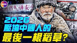 大量农民被冻死！ 「没钱取暖」成2026热搜第一！ 「煤改气」成寒冬杀手！ 「绿水青山」藏杀猪盘，「煤改气」成寒冬杀手！这是压垮百姓的最后稻草？ ！#真观点 #真飞