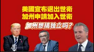 美国宣布退出世卫，加州申请加入世卫，加州想独立吗？2026.01.24NO3273#世卫组织