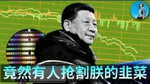 🔴【每日要闻】Meta收购Manus警示我们：中国人只有离开中国才能成功！2026以旧换新这政来了！谁在A股抢割习近平的韭菜？｜小翠时政财经 20251230