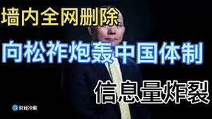 墙内全网删除，向松祚炮轰中国体制！信息量炸裂！