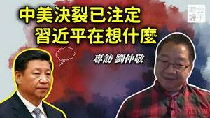 专访刘仲敬：中国走向崩溃，习近平到底想要什么？中美彻底决裂已成必然！公子沈最新访谈
