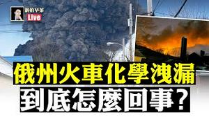 美国俄亥俄州火车出轨，化学品洩漏，周围鱼类家禽死亡，到底怎么回事？｜新闻拍案惊奇 大宇｜新拍早茶