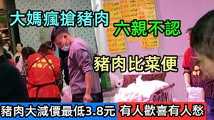 猪肉价格暴跌至3.8元，比蔬菜还便宜引起大妈们疯抢|猪肉价格一落千丈|投资50万的养猪场，现在面临进退两难的困境|养猪户亏得没眼泪流|猪肉价格|猪肉降价#哄抢物资#养殖户