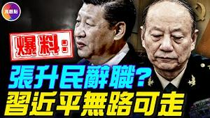 张升民层发清洗升级信号！习近平无路可走，中共崩溃指日可待！#真飞 #真观点