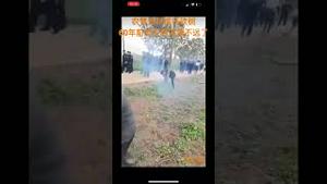 农管进村疯狂砍树，60年前的生态灾难不远了