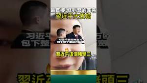 中国网友TikTok骂习近平、共产党！墙内中国人的真心话