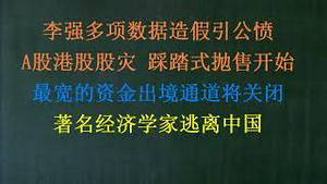 A股踩踏式抛售击穿2800点，2015年股灾重现！港股持续暴跌！李强多项经济数据造假是导火线？这才是大萧条！最宽的资金出境通道将关闭！著名经济学家逃离中国(20240117第1137期)