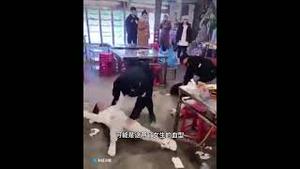 突发！重庆两美女大学生被警察强行抓走活摘！台湾想回归的人都看看！