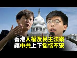 香港人权及民主法案即将通过 为何中共惴惴不安？为何黄之锋何韵诗飞往美国作证？为何香港人殷殷企盼？｜世界的十字路口 唐浩