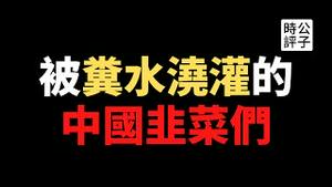 【公子时评】奇葩强国！深圳昂贵住宅楼居民集体吃屎两个月！中国人享受15万/平米的房价和印度贫民窟待遇，还不算韭菜？中国没有基层社区自治能力就不会有民主和人权...