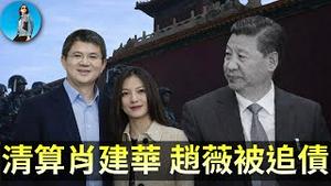 明天系清算完毕：肖建华到底从中国洗出去多少钱？赵薇被追债3900万，习近平这回损失惨重！｜小翠时政财经 20260203#828